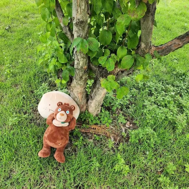 낭만섬